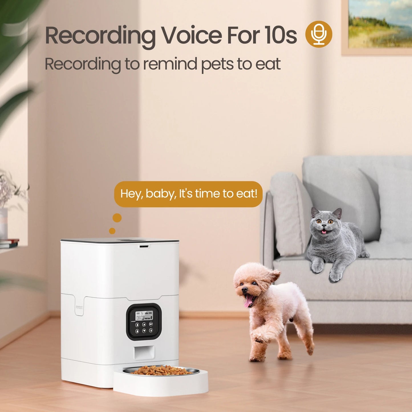 Smart Voice Recording Dog Feeder 4L Capacity Pet Automatic Feeder Pet Products Feeder For Dog And Cat