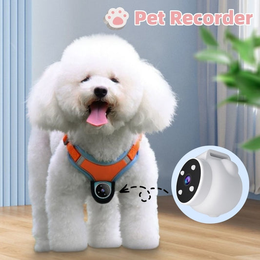 Pet Tracker Collar Recorder for Dogs and Cats Viewing Angle Motion Recording Camera Action Camera With Video Records Cat Collars Camera Sport Pet Products